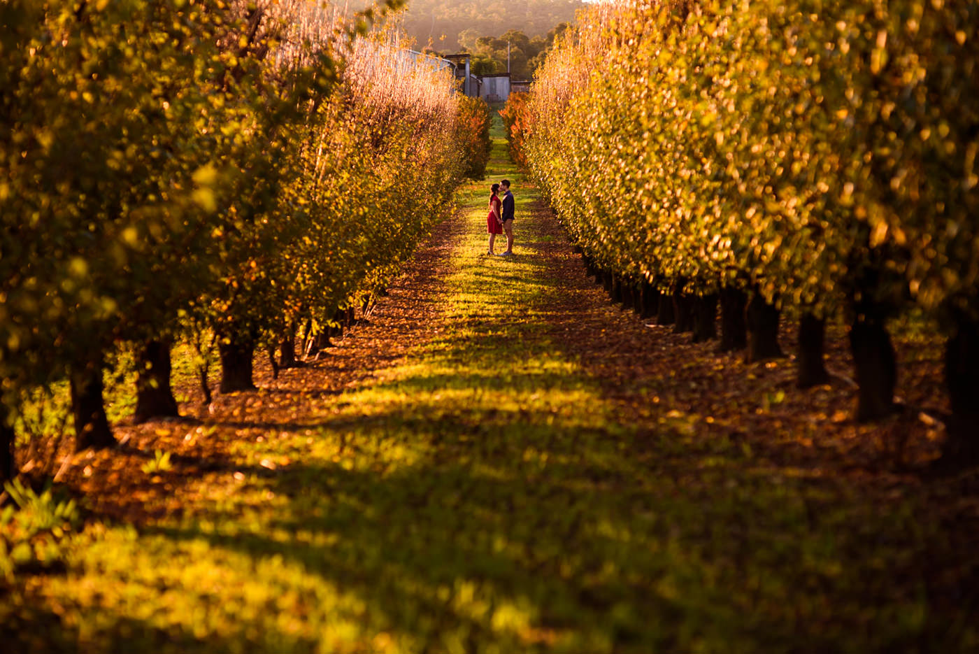 Perth Autumn Pre-Wedding