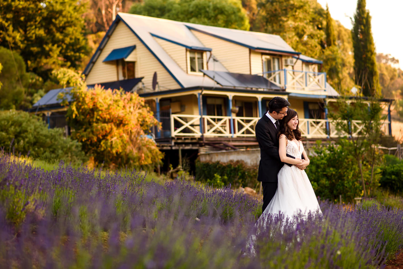 Margaret River Pre Wedding Lavender