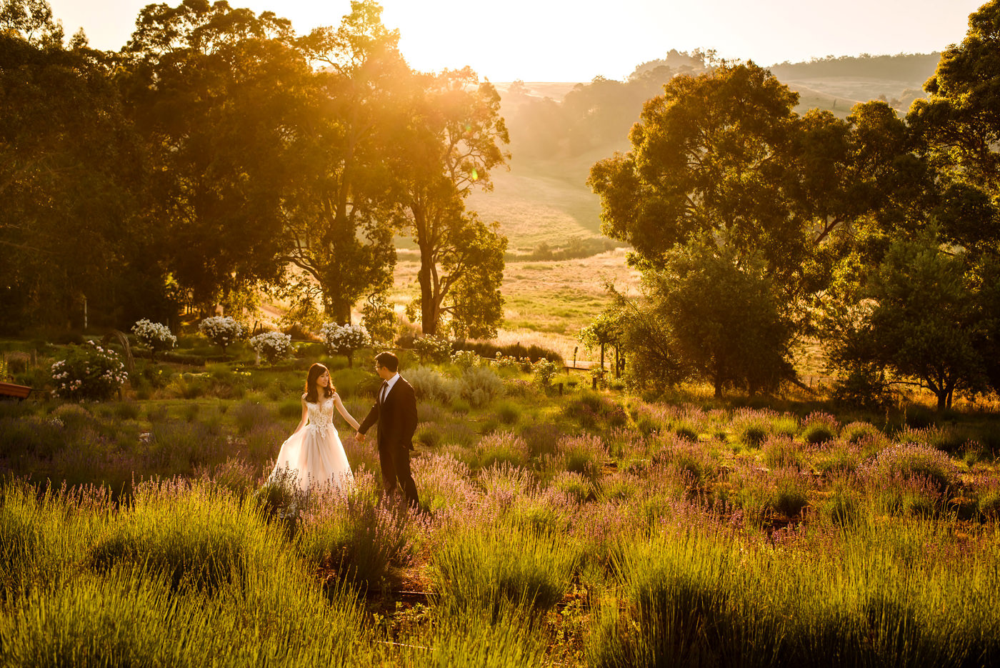 Margaret River Pre Wedding