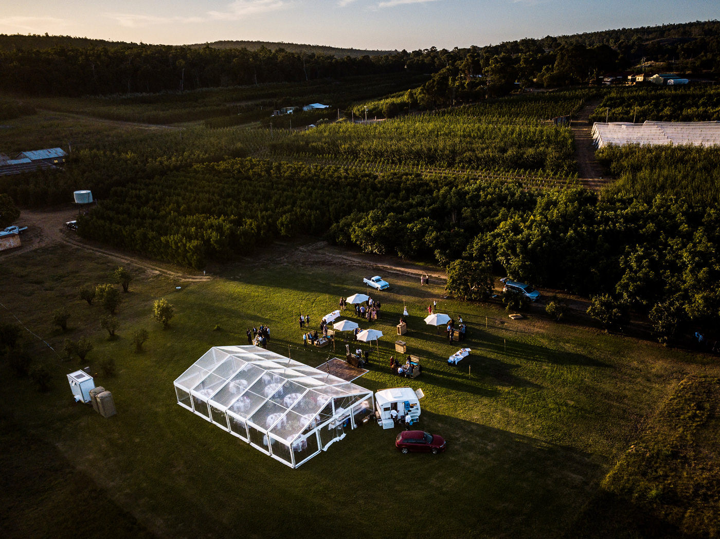 Orchard Wedding Perth