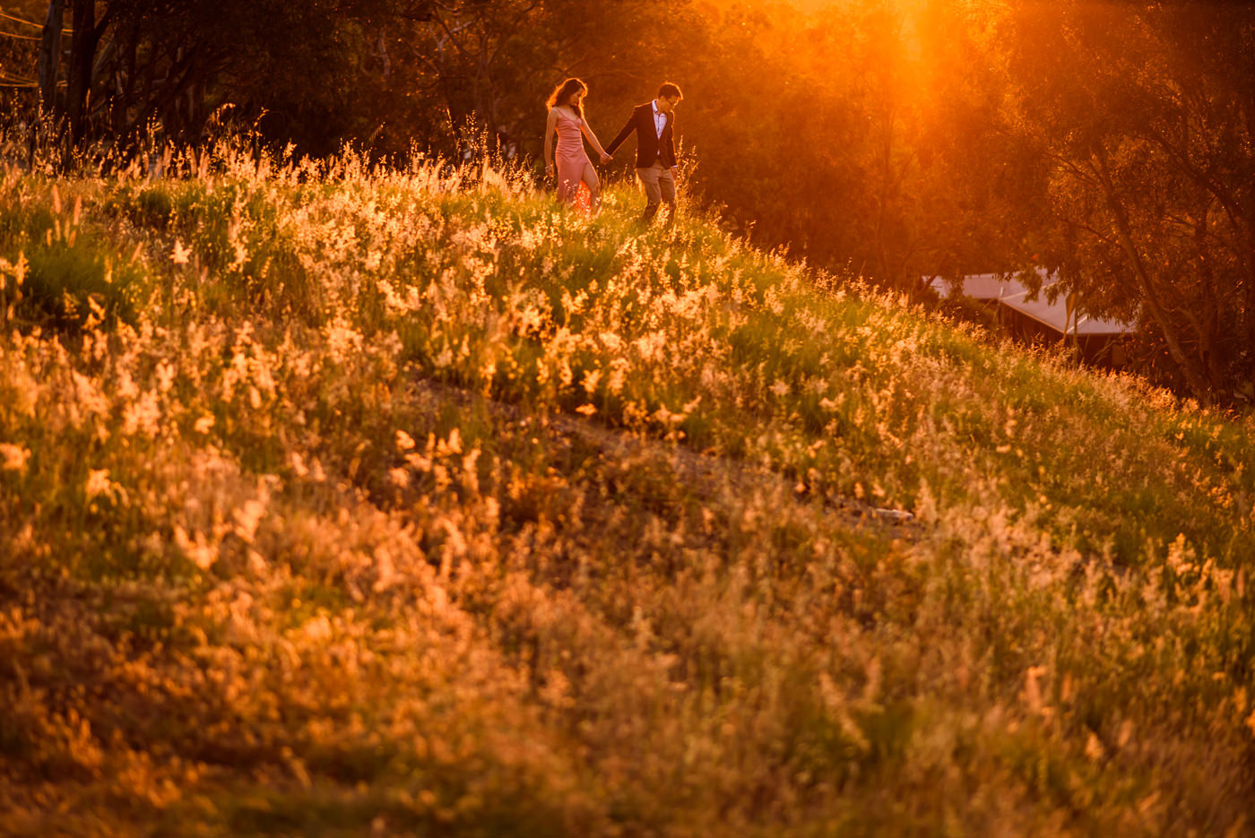 Swan Valley Pre wedding