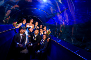 AQWA Wedding Perth Wedding Photographer