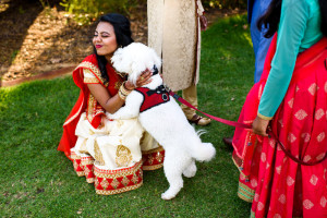 Perth Indian Wedding