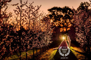Jason Tey Photography Wedaward