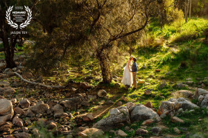 Jason Tey Photography Wedaward