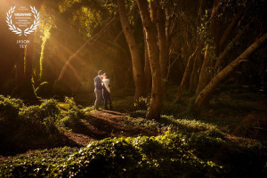 Jason Tey Photography Wedaward