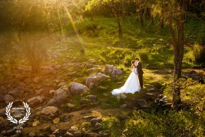 Jason Tey Photography Wedaward
