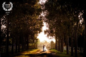 Jason Tey Photography Wedaward