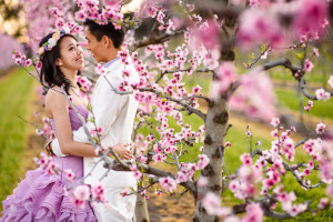Jason Tey Perth Pre wedding Photographer Raeburn Orchard Blossoms