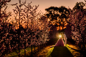 Jason Tey Perth Pre wedding Photographer Raeburn Orchard