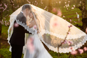 Jason Tey Perth Pre wedding Photographer Raeburn Orchard Spring