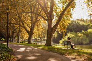 Jason Tey Perth Pre wedding Photographer Hyde Park