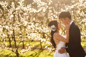 Perth Pre wedding Photography Orchards